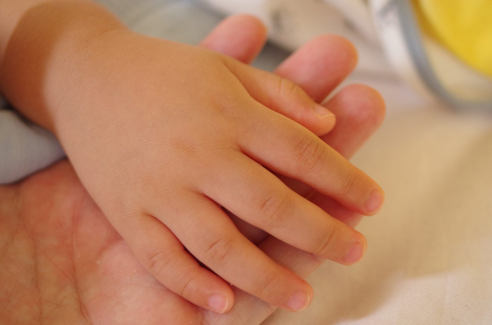 Imangen que explica un poco en qué consiste ser Madre o Padre de Día